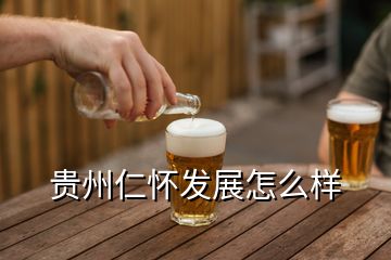 貴州仁懷發(fā)展怎么樣