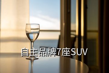 自主品牌7座SUV