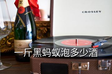 一斤黑螞蟻泡多少酒