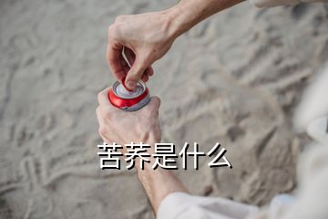 苦蕎是什么