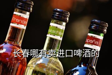 長春哪有賣進(jìn)口啤酒的