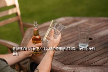 青島啤酒利潤表中為什么財務(wù)費(fèi)用是財務(wù)費(fèi)用凈額啊凈額是什