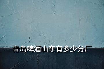 青島啤酒山東有多少分廠