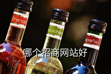 哪個(gè)招商網(wǎng)站好