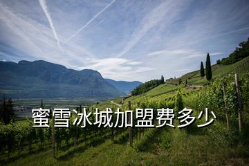 蜜雪冰城加盟費多少