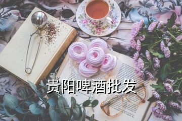 貴陽啤酒批發(fā)