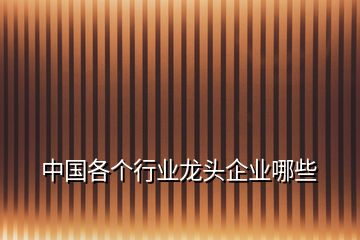 中國(guó)各個(gè)行業(yè)龍頭企業(yè)哪些