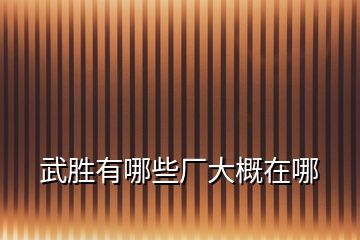 武勝有哪些廠大概在哪