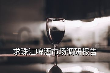 求珠江啤酒市場調(diào)研報(bào)告