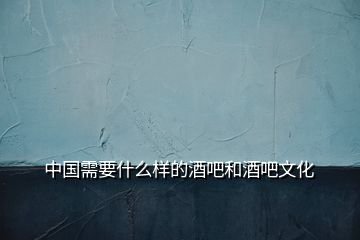 中國(guó)需要什么樣的酒吧和酒吧文化