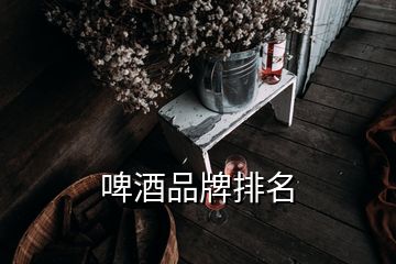 啤酒品牌排名