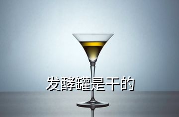 發(fā)酵罐是干的