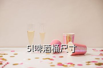 5l啤酒桶尺寸