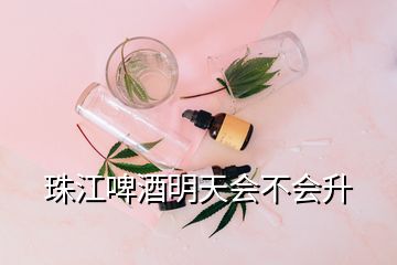 珠江啤酒明天會不會升