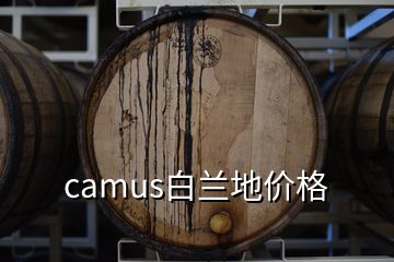 camus白蘭地價(jià)格