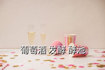 葡萄酒 發(fā)酵 酵池