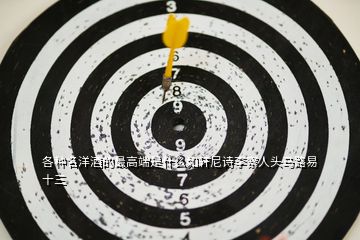 各種名洋酒的最高端是什么如軒尼詩(shī)李察人頭馬路易十三