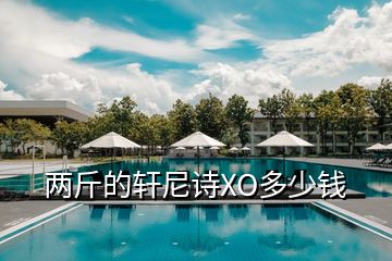 兩斤的軒尼詩(shī)XO多少錢