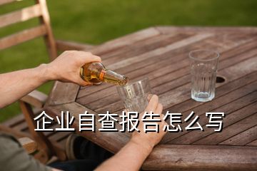 企業(yè)自查報(bào)告怎么寫(xiě)