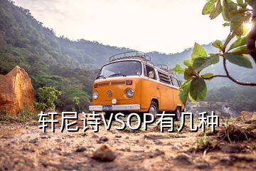 軒尼詩VSOP有幾種