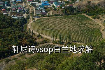 軒尼詩(shī)vsop白蘭地求解