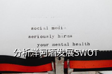 分析洋河酒發(fā)展SWOT
