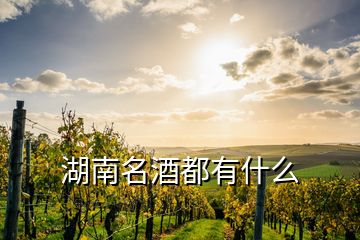 湖南名酒都有什么