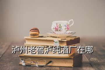 瀘州老窖瀘純酒廠在哪