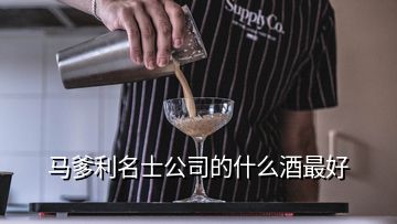 馬爹利名士公司的什么酒最好