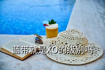 藍(lán)帶就是XO的級(jí)別嗎