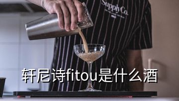 軒尼詩fitou是什么酒