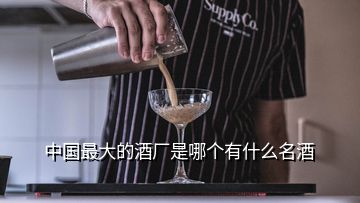 中國(guó)最大的酒廠是哪個(gè)有什么名酒