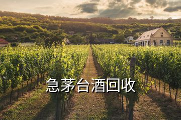 急茅臺(tái)酒回收