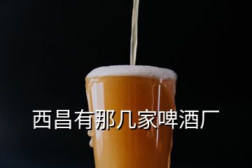 西昌有那幾家啤酒廠