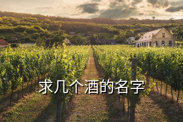 求幾個(gè)酒的名字