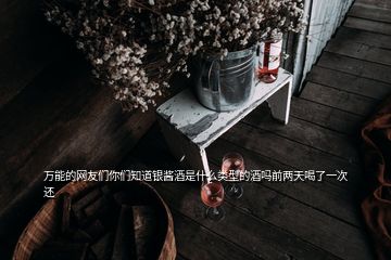 萬(wàn)能的網(wǎng)友們你們知道銀醬酒是什么類型的酒嗎前兩天喝了一次還