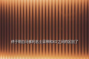 終于明白馬爹利名士藍帶和XO之間的區(qū)別了