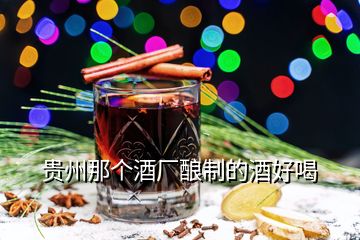 貴州那個(gè)酒廠釀制的酒好喝