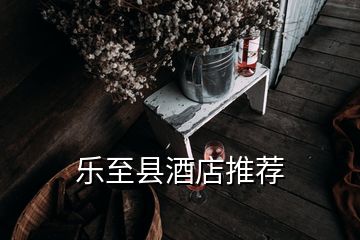 樂(lè)至縣酒店推薦