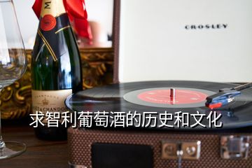 求智利葡萄酒的歷史和文化