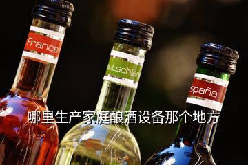 哪里生產(chǎn)家庭釀酒設(shè)備那個(gè)地方