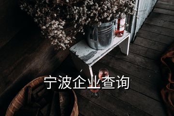 寧波企業(yè)查詢