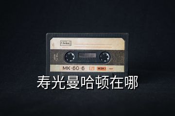 壽光曼哈頓在哪