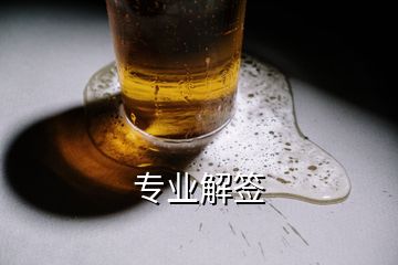 專業(yè)解簽