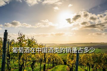 葡萄酒在中國(guó)酒類(lèi)的銷(xiāo)量占多少