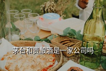 茅臺(tái)和貴釀酒是一家公司嗎