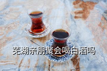 蕪湖親朋聚會(huì)喝白酒嗎