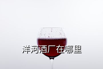 洋河酒廠在哪里