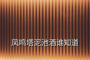 鳳鳴塔泥池酒誰知道