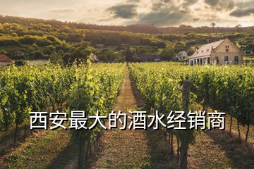 西安最大的酒水經(jīng)銷商